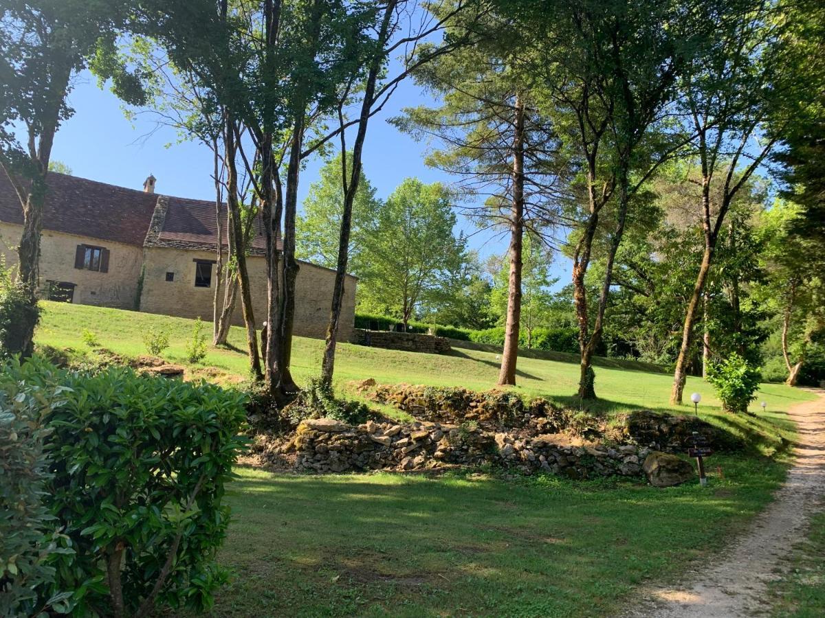 Gite - Le Petit Noyer Le Bugue Exterior photo